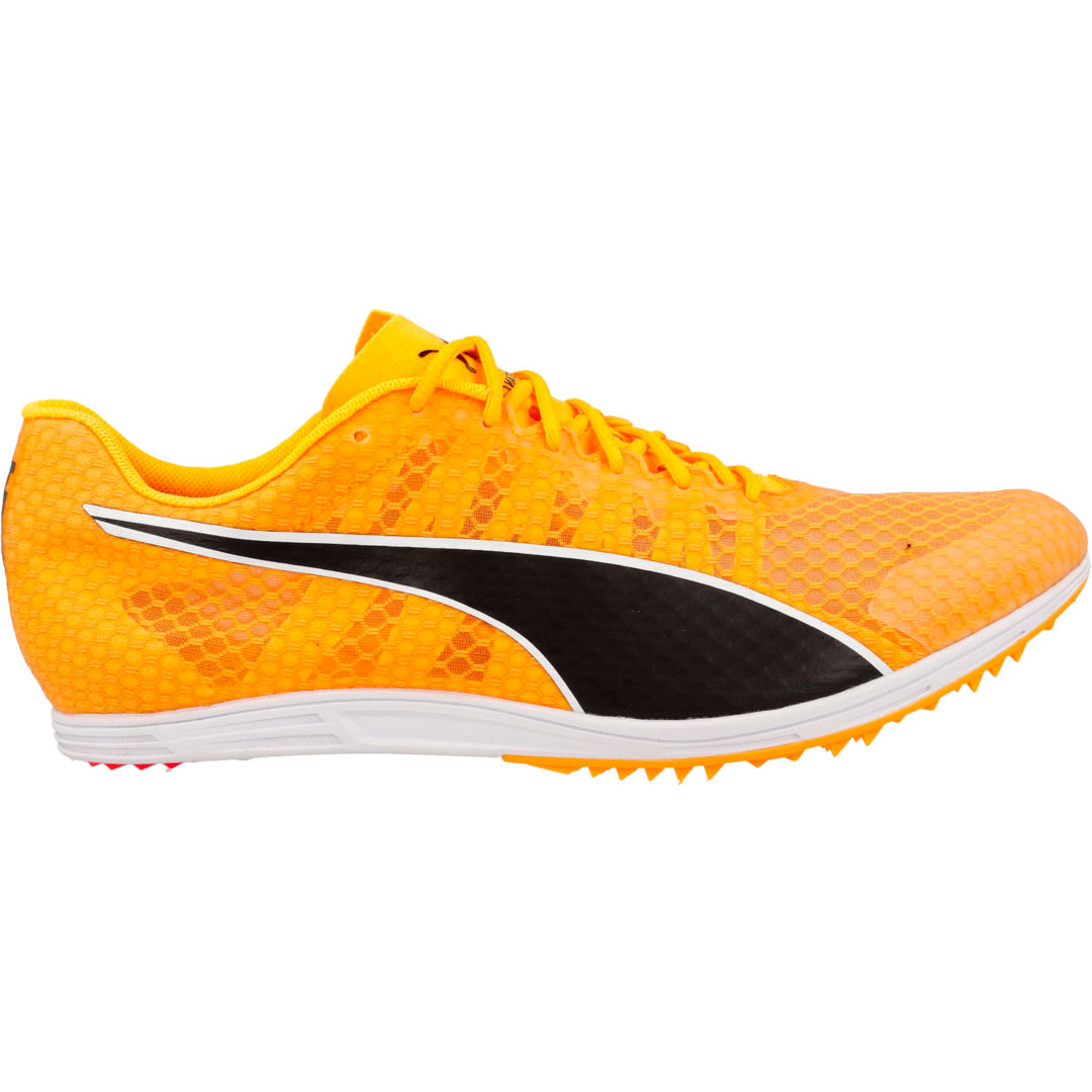 Evospeed Distance 11
