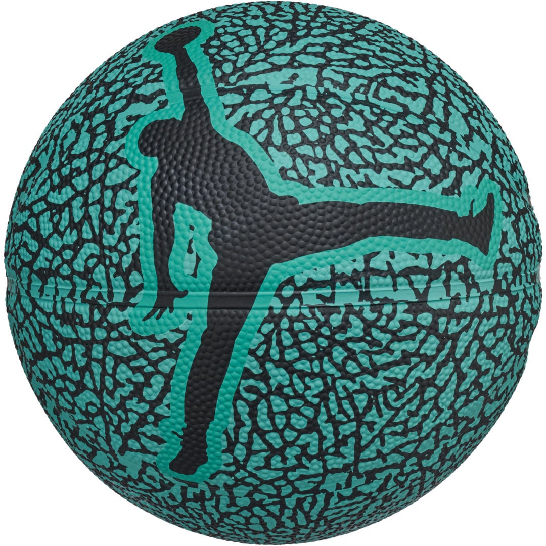 Nike Jordan Skills 2.0 Graphic basketboll