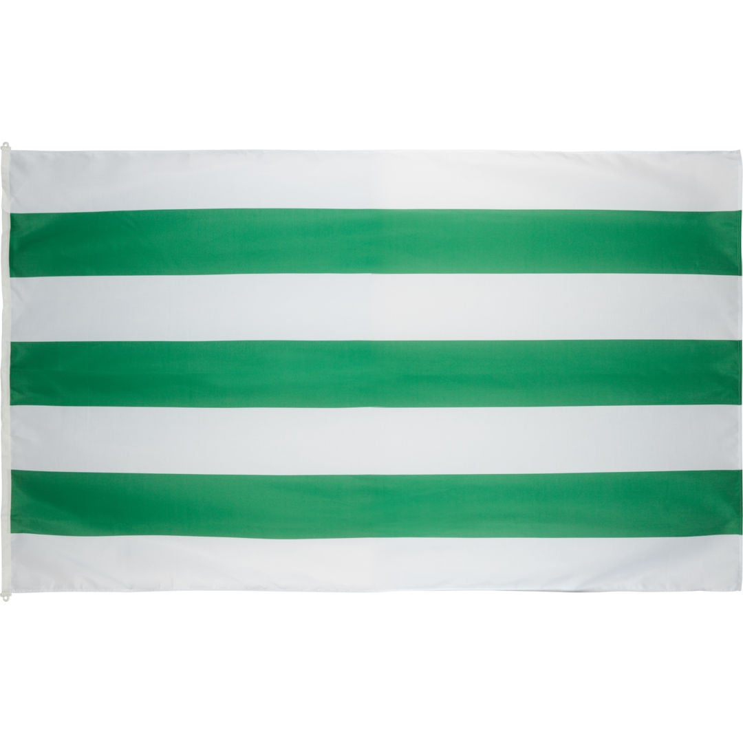 Hammarby Flaggstångsflagga 240x150cm