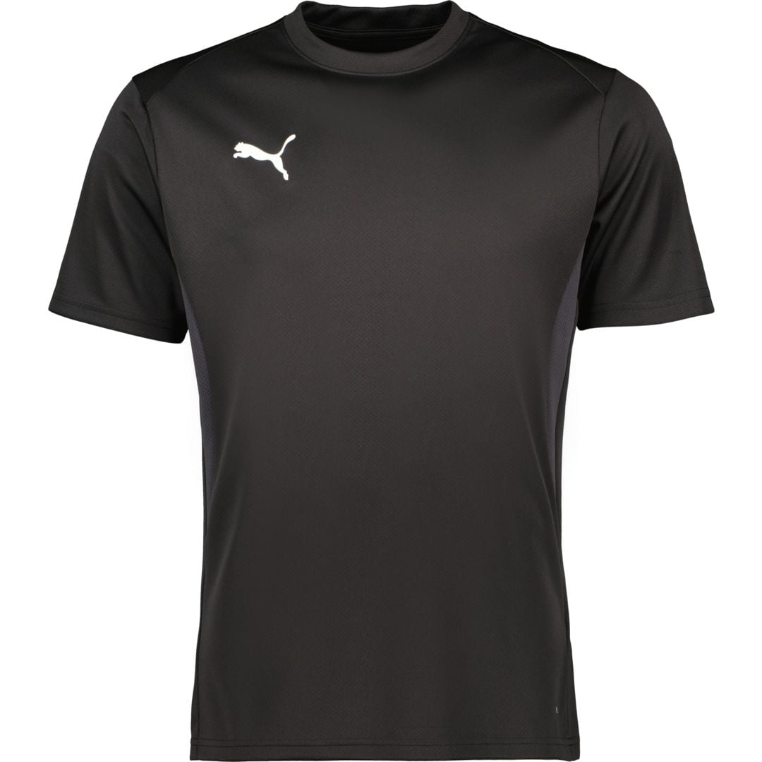 Puma teamGOAL Jersey