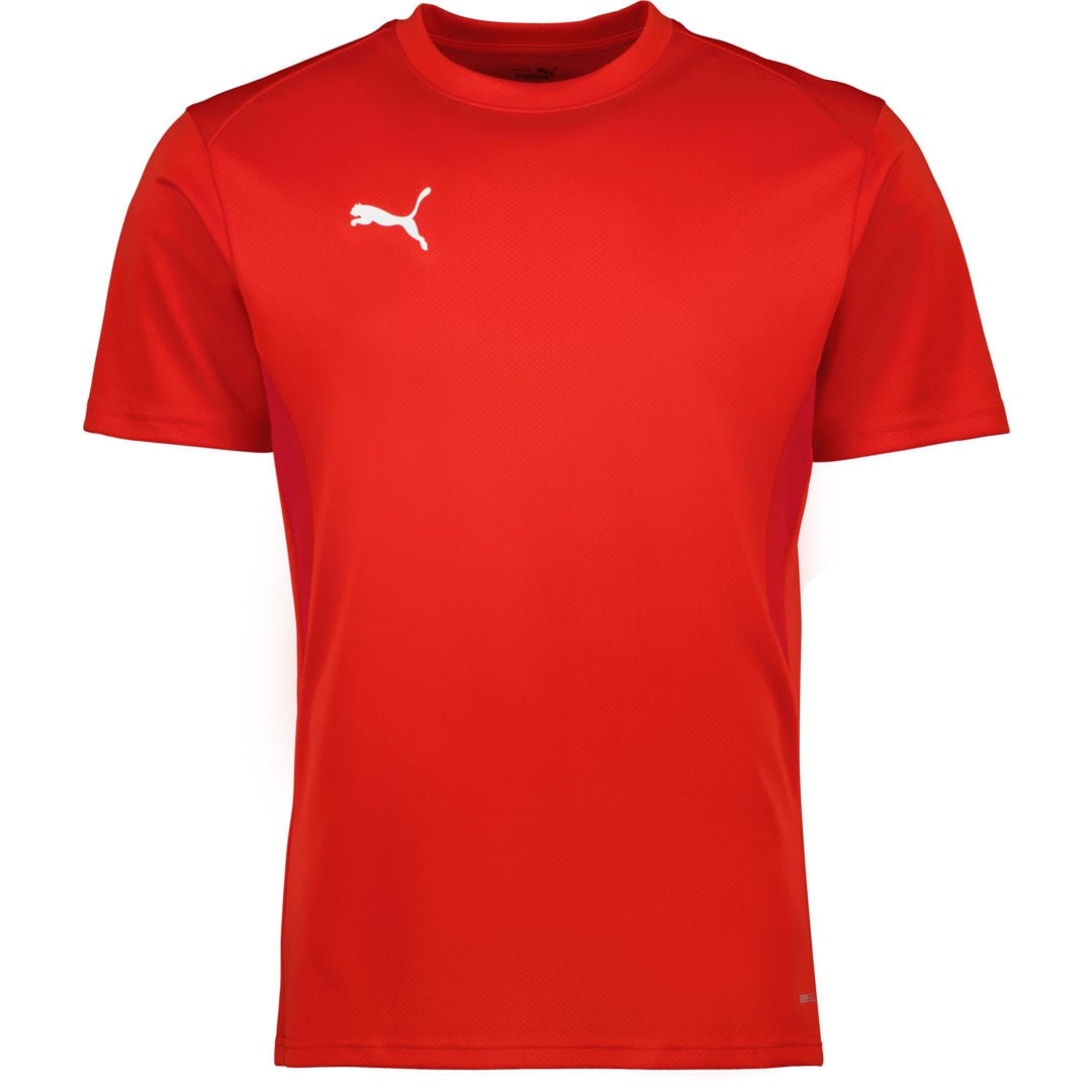 Puma teamGOAL Jersey Jr