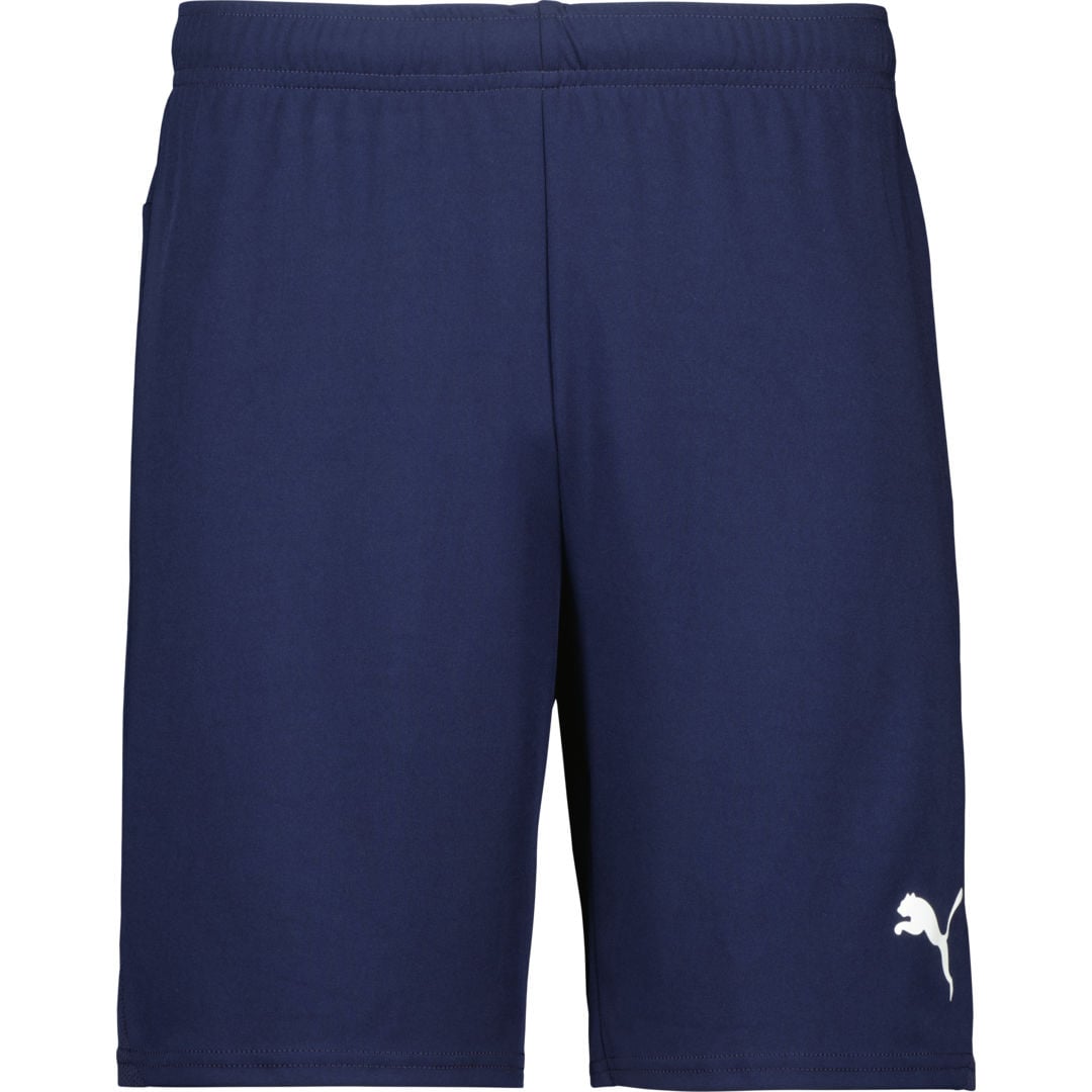 Puma teamGOAL Shorts