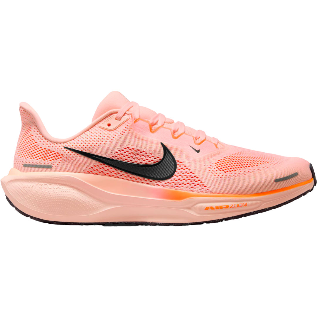 Pegasus 41