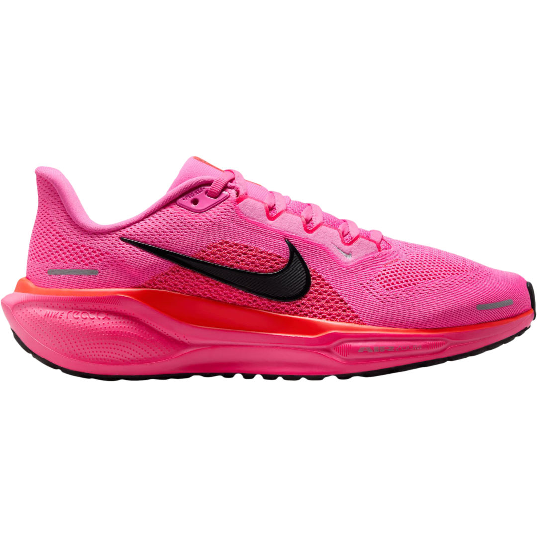 Pegasus 41