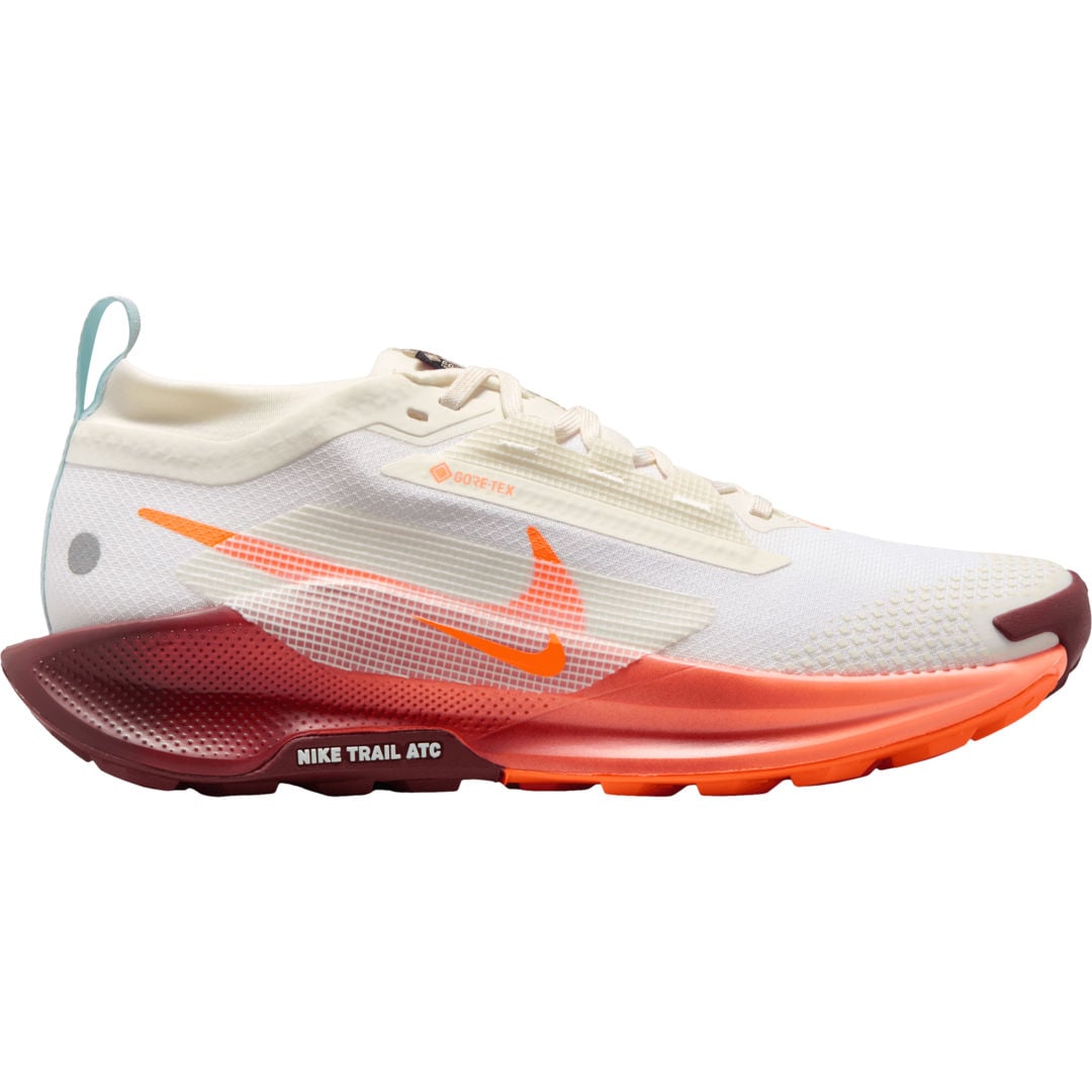 Nike Pegasus Trail 5 Gore-Tex W löparskor