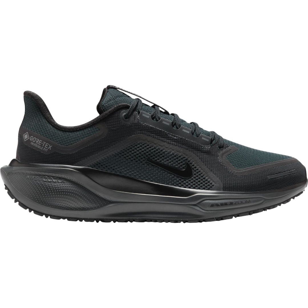 Nike Pegasus 41 Gore-Tex M löparskor