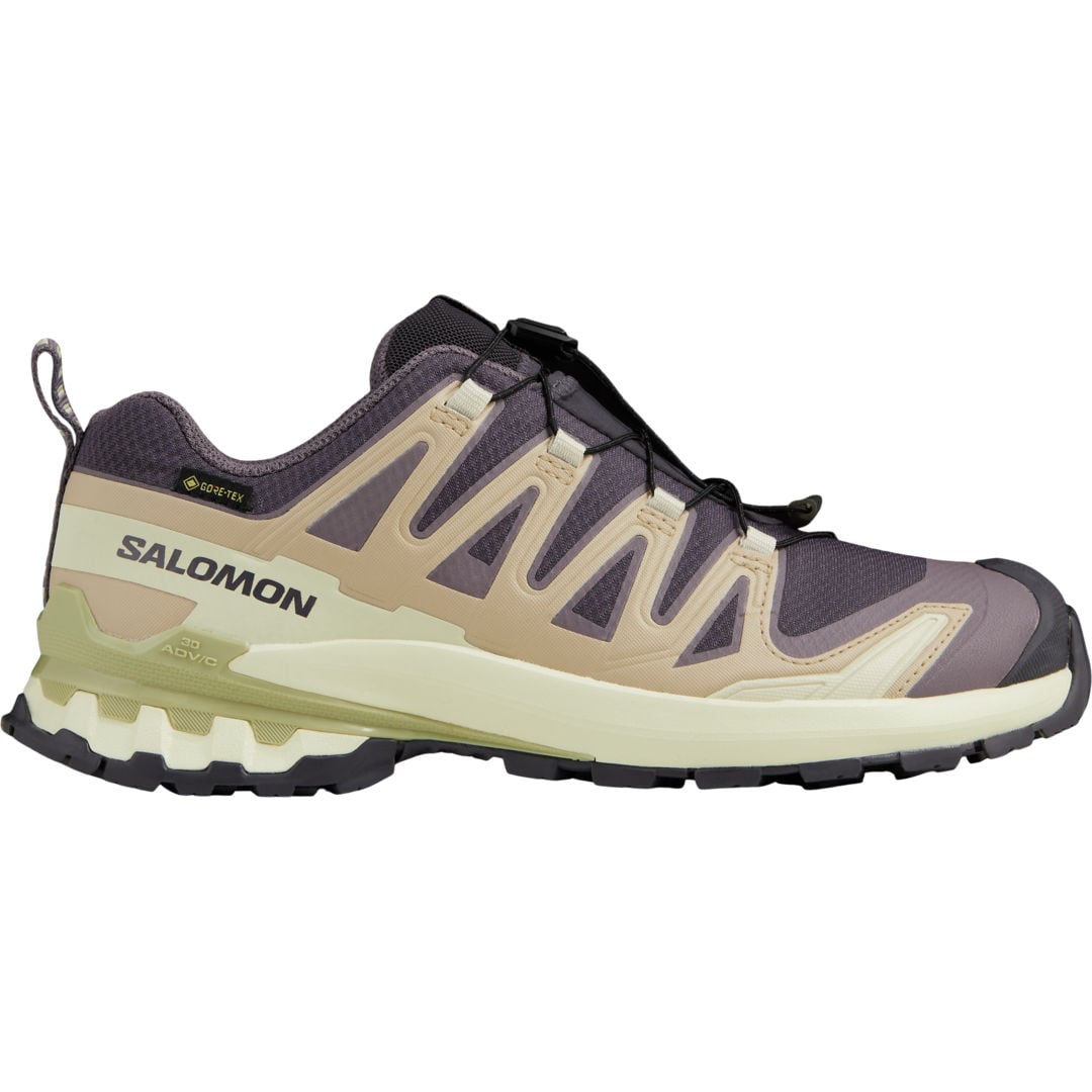 Salomon XA Pro 3D V9 Gore-Tex W vandringsskor