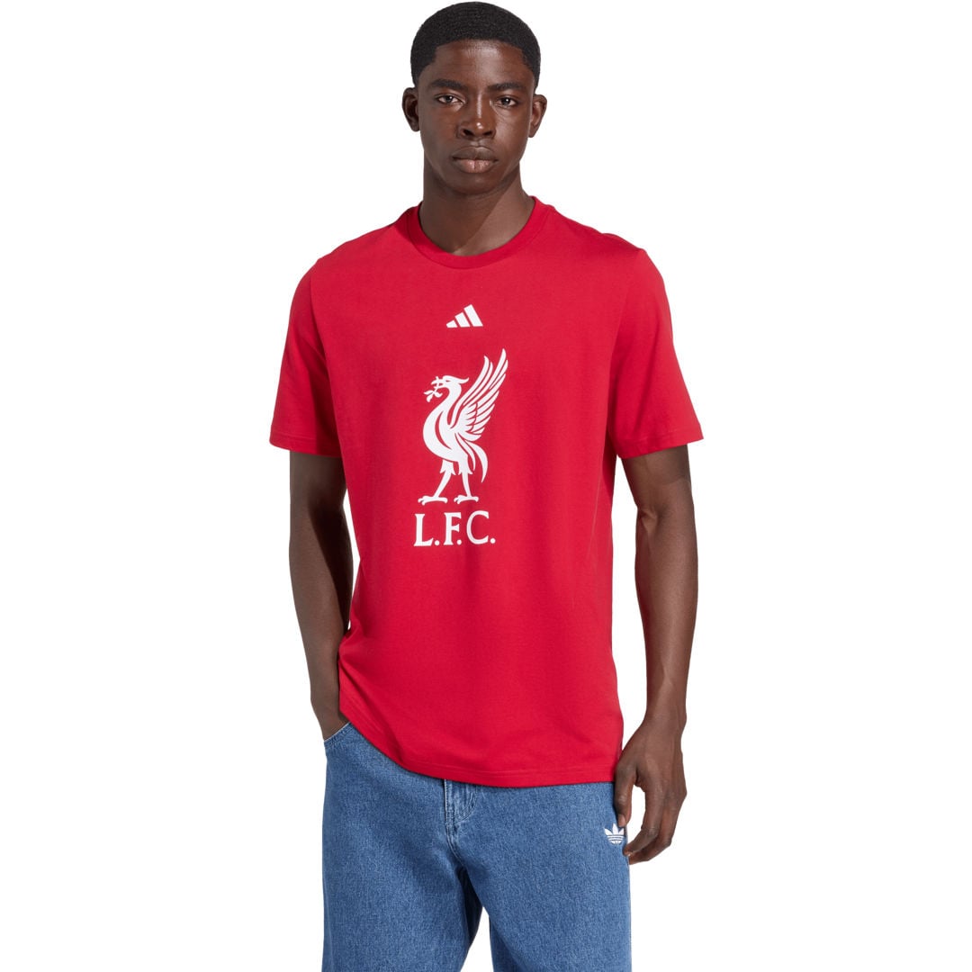 adidas Liverpool FC DNA Graphic M t-shirt