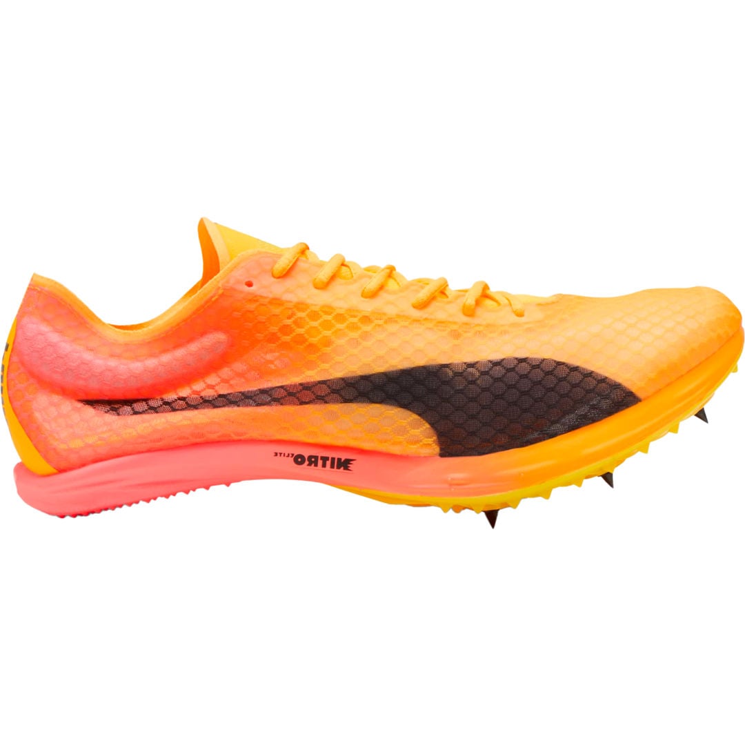 Evospeed Distance Nitro Elite+ 4