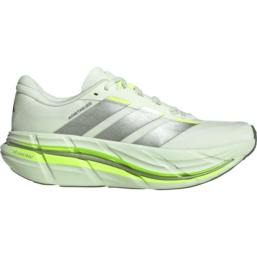 Adistar BYD 2