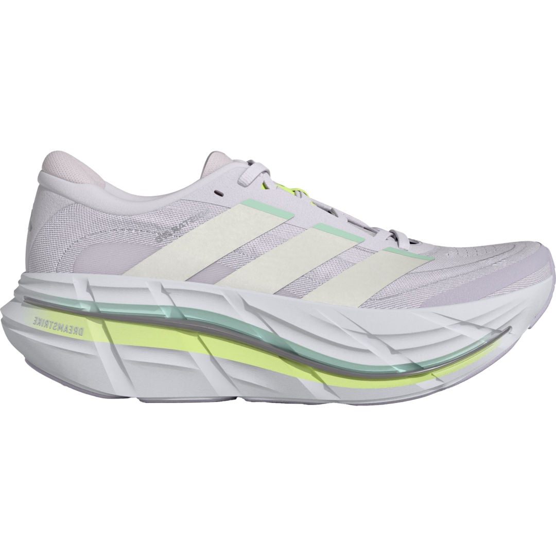 Adistar BYD 2