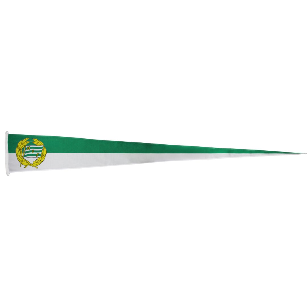 Hammarby HIF vimpel