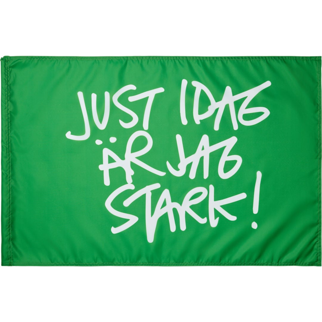Hammarby Just Idag 60x90 cm flagga