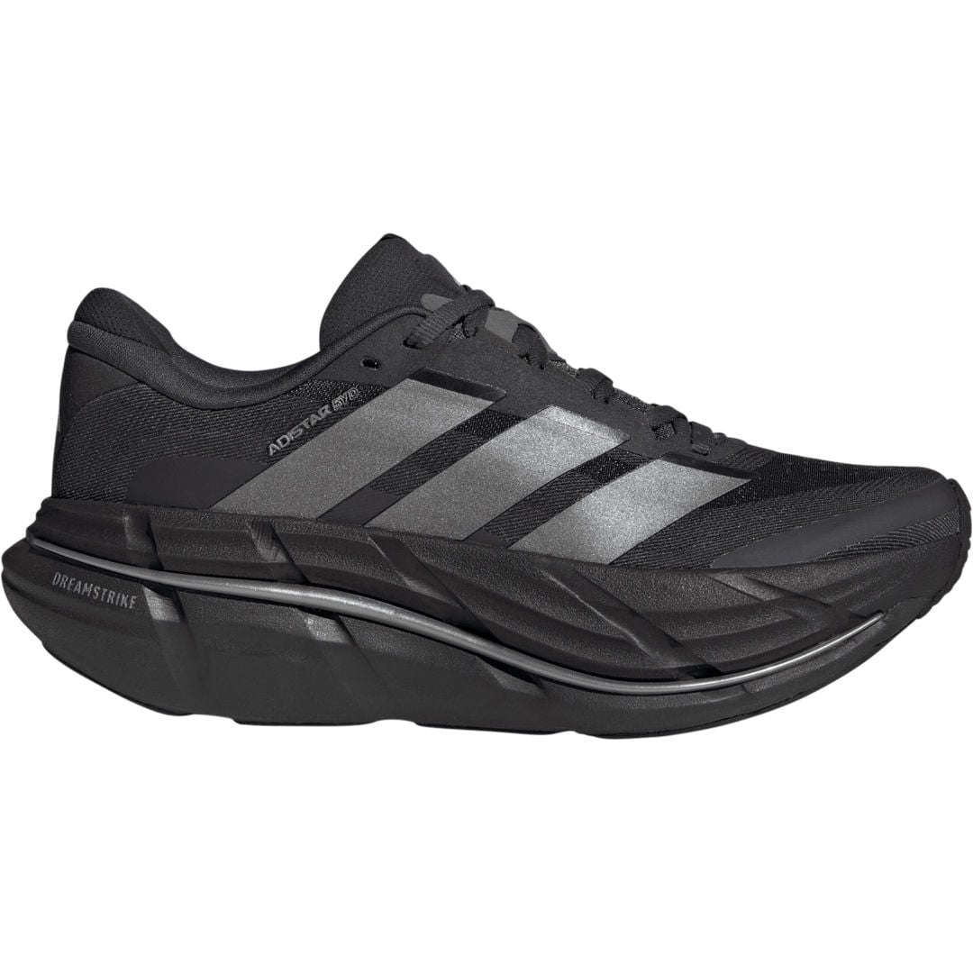 Adistar BYD 2