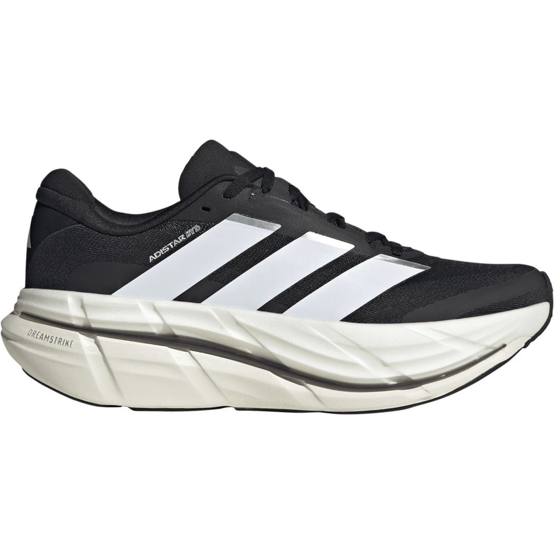 Adistar BYD 2