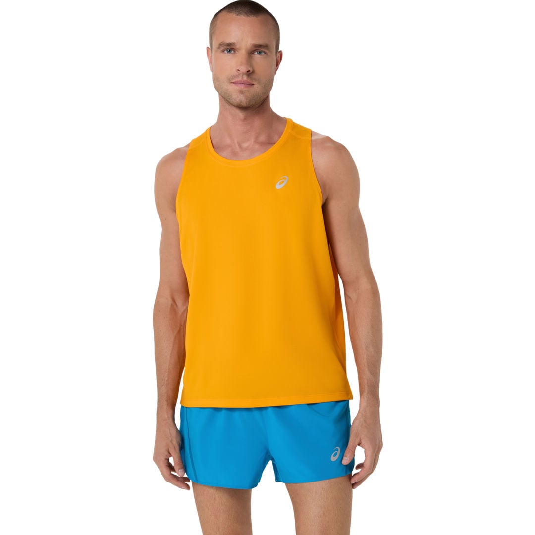 Core Singlet