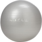 Energetics Gymboll 65 cm Silver