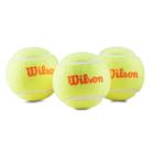 Wilson Starter Orange 3packTennisbollar Gul