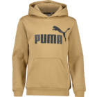 Puma Essentials Big Logo JR huvtröja Brun