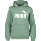 Puma Essentials Big Logo JR huvtröja Grön