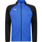 Puma teamLiga Training Jacket Blå