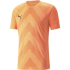 Puma teamGLORY Jersey M träningst-shirt Orange