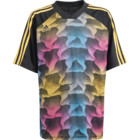 adidas Hot JR träningst-shirt Flerfärgad