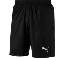 LIGA Shorts Core w Brief SR