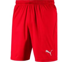 LIGA Shorts Core w Brief JR