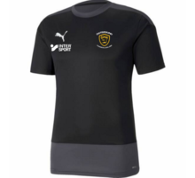 Puma teamGOAL 23 Training Jersey