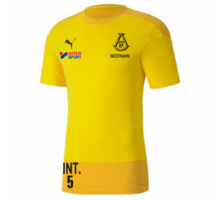 teamGOAL 23 Training Jersey Jr