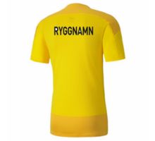 teamGOAL 23 Training Jersey Jr