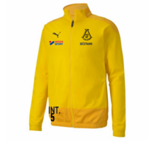 TeamGOAL 23 Training Jacket JR