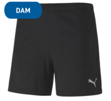 Puma teamGOAL 23 knit Shorts  W