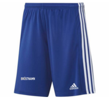 adidas Squadra 21 Shorts