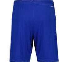 adidas Squadra 21 Shorts Blå