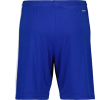 Squadra 21 Shorts