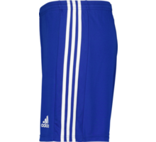 Squadra 21 Shorts