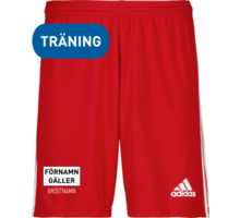 adidas Squadra 21 Shorts