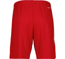 Squadra 21 Shorts