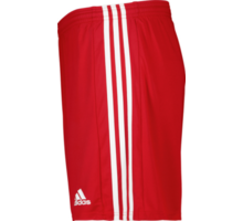 Squadra 21 Shorts