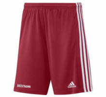 adidas Squadra 21 Shorts