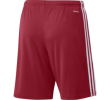 Squadra 21 Shorts