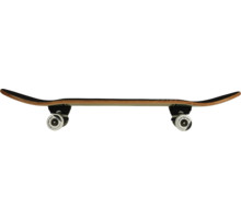 Firefly 505 skateboard Flerfärgad