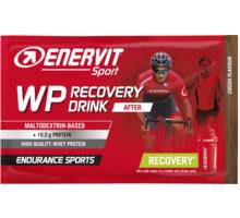 E.SPORT WP Recovery Drink