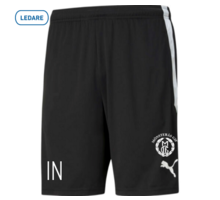 TeamLIGA träningsshorts