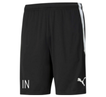 TeamLIGA träningsshorts