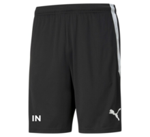 TeamLIGA träningsshorts