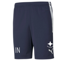 Puma TeamLIGA träningsshorts