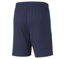 TeamLIGA träningsshorts